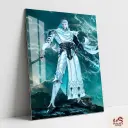 CHEN XIN Metal Poster | SOUL LAND DONGHUA ART 013